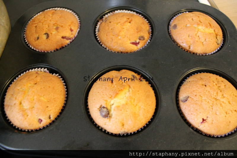 sIMG_0646.JPG sIMG_0646.JPG