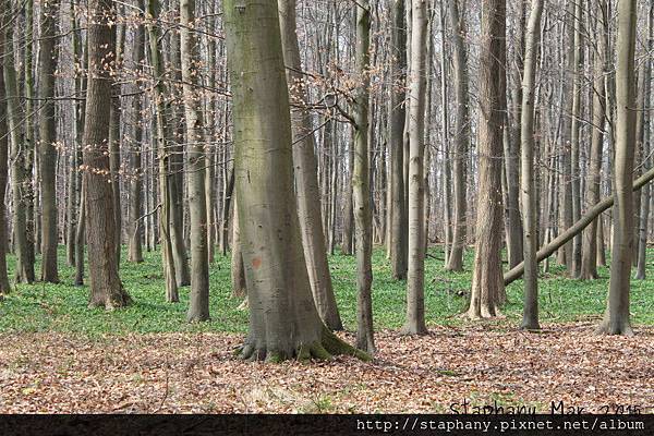 sIMG_6137.JPG sIMG_6137.JPG