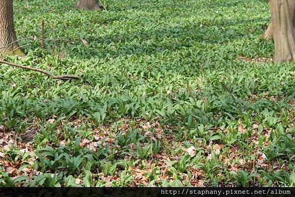 sIMG_6138.JPG sIMG_6138.JPG