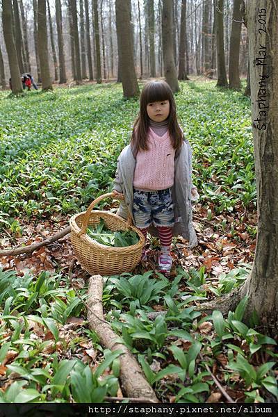 sIMG_6139.JPG sIMG_6139.JPG