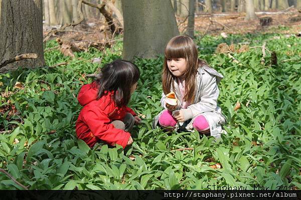 sIMG_6143.JPG sIMG_6143.JPG