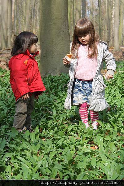 sIMG_6145.JPG sIMG_6145.JPG