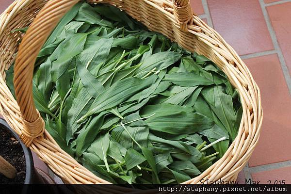 sIMG_6149.JPG sIMG_6149.JPG