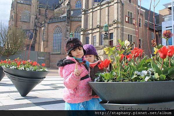 sIMG_6309.JPG sIMG_6309.JPG