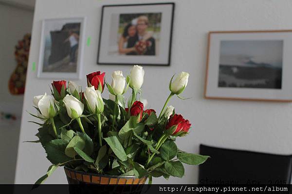 sIMG_6177.JPG sIMG_6177.JPG