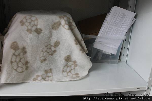 sIMG_6408.JPG sIMG_6408.JPG