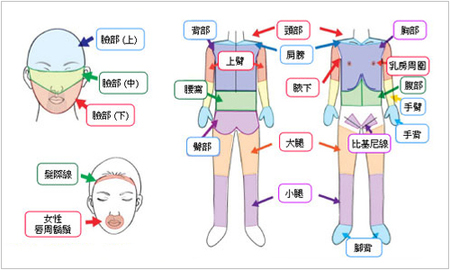 星和台北_日式光纖美白_大噹04