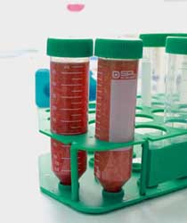 星采整形外科診所_自體脂肪豐胸_邱大睿醫師11 星采整形外科診所_自體脂肪豐胸_邱大睿醫師11