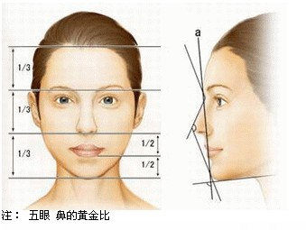 星采大安醫美_韓式隆鼻/三段式隆鼻_邱大睿院長08