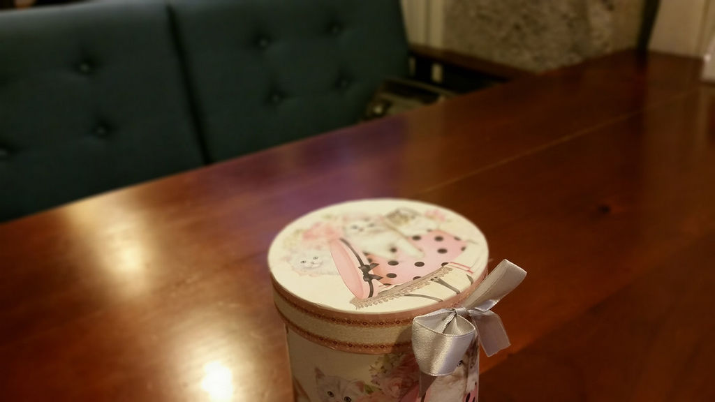 貓咪對焦5.jpg 貓咪對焦5.jpg