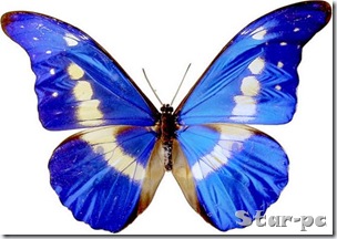 3778727_874347 3778727_874347