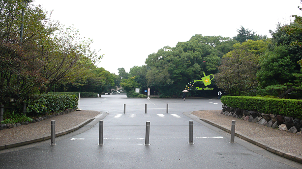 aP1240258.jpg aP1240258.jpg