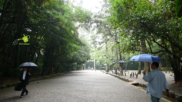 aP1240329.jpg aP1240329.jpg