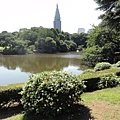 池畔之花 池畔之花