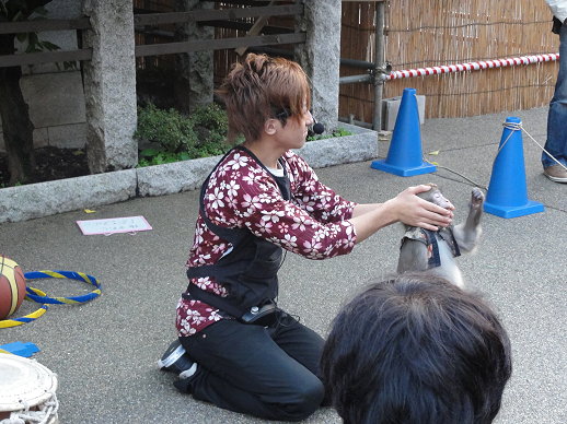 街頭藝人 街頭藝人