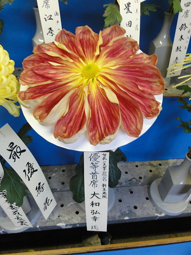 優等首席 優等首席