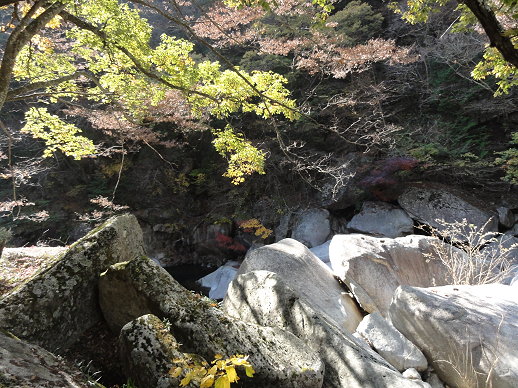 DSC06513.jpg DSC06513.jpg