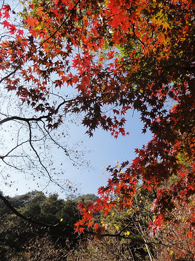 DSC06535.jpg DSC06535.jpg