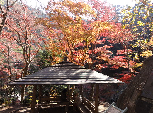 DSC06545.jpg DSC06545.jpg