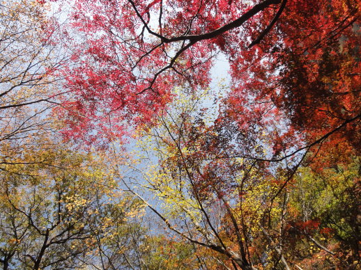 DSC06580.jpg DSC06580.jpg