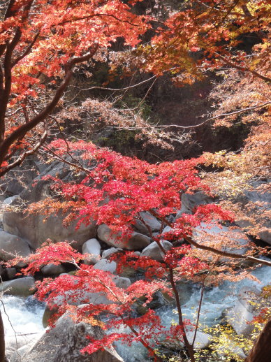 DSC06588.jpg DSC06588.jpg