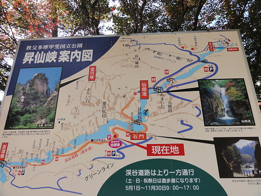 DSC06676-1.jpg DSC06676-1.jpg
