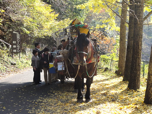 DSC06704.jpg DSC06704.jpg