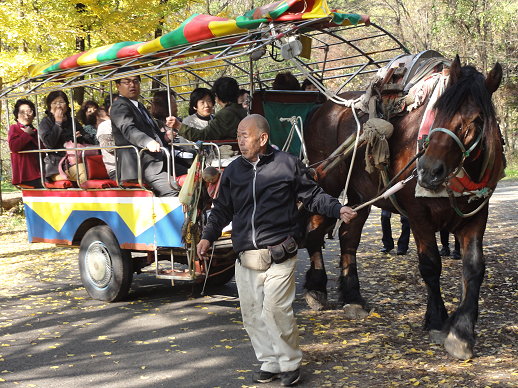 DSC06716.jpg DSC06716.jpg