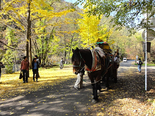 DSC06717.jpg DSC06717.jpg