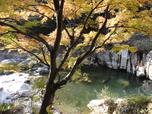 DSC06749.jpg DSC06749.jpg
