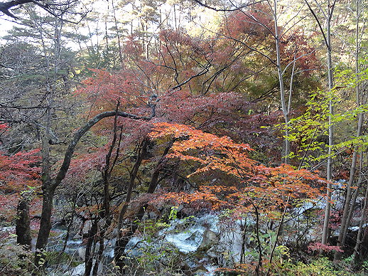 DSC06793.jpg DSC06793.jpg