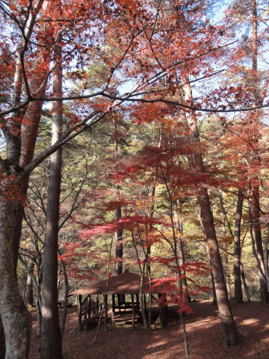 DSC06872.jpg DSC06872.jpg