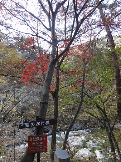 DSC06918.jpg DSC06918.jpg
