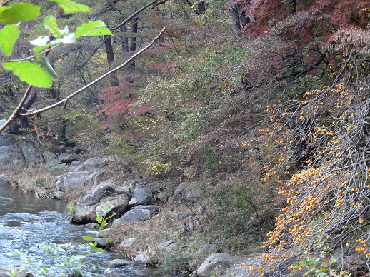 DSC06935.jpg DSC06935.jpg