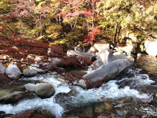 DSC07050.jpg DSC07050.jpg