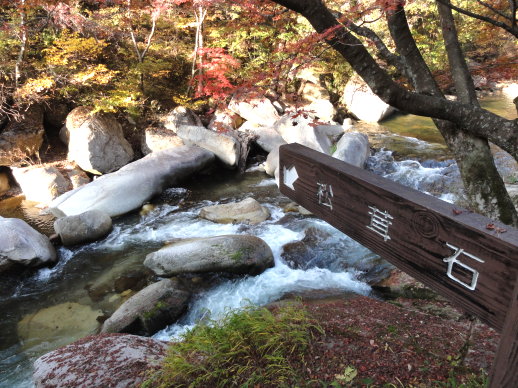 DSC07054.jpg DSC07054.jpg