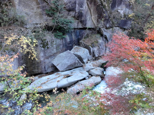 DSC07123.jpg DSC07123.jpg