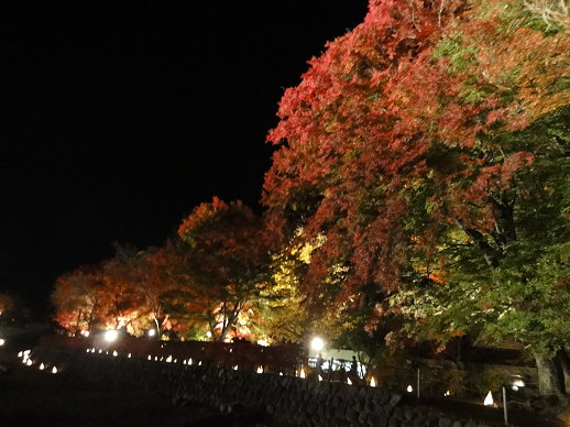 DSC07265.jpg DSC07265.jpg