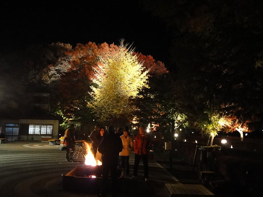 DSC07287.jpg DSC07287.jpg