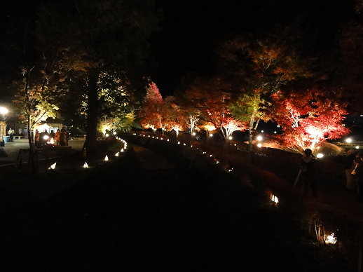 DSC07292.jpg DSC07292.jpg