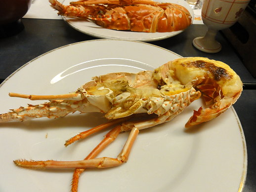 DSC07221.jpg DSC07221.jpg