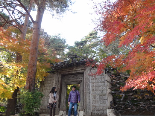 DSC08351.jpg DSC08351.jpg