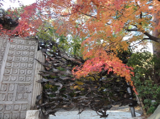 DSC08354.jpg DSC08354.jpg