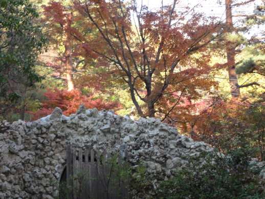 DSC08373.jpg DSC08373.jpg