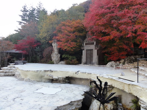DSC08395.jpg DSC08395.jpg