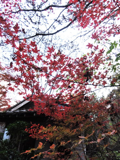 DSC08447.jpg DSC08447.jpg