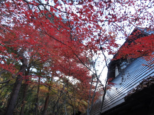 DSC08440.jpg DSC08440.jpg