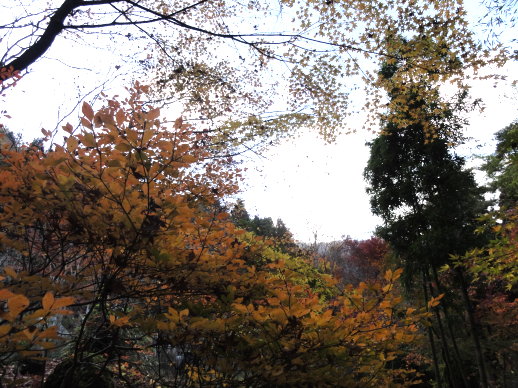 DSC08478.jpg DSC08478.jpg