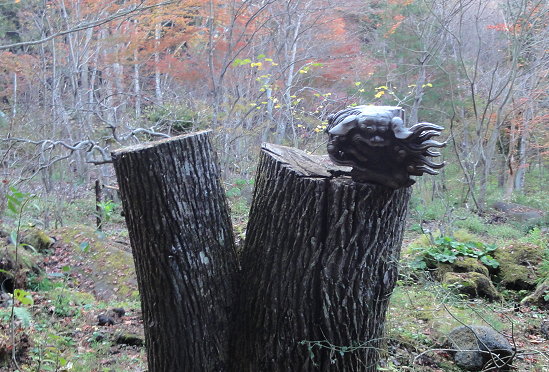 DSC08493.jpg DSC08493.jpg
