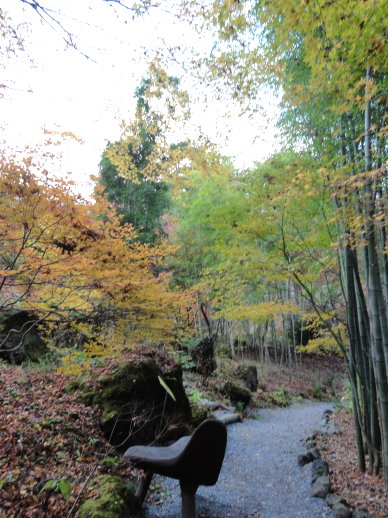 DSC08514.jpg DSC08514.jpg